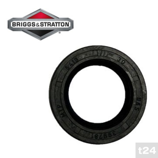 Apatinis alkūninio veleno riebokšlis Briggs & Stratton Quantum