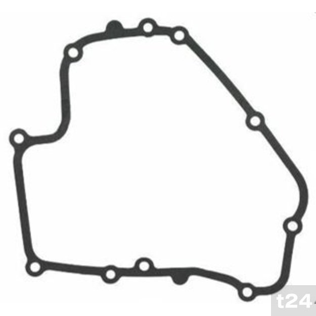 Alyvos tarpikliai BRIGGS & STRATTON DOV 793445