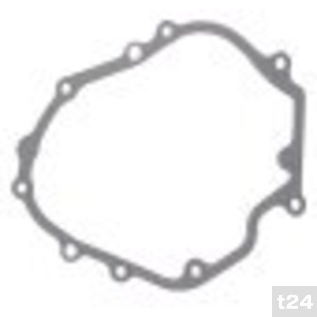 Karterio tarpinė kiniškai vejapjovei NAC T375