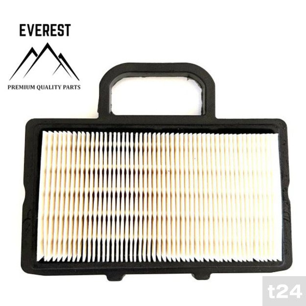 ORO FILTRAS Briggs&Stratton (2 cilindrai, NAUJO TIPO, EVEREST)  