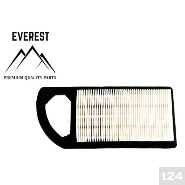 ORO FILTRAS Briggs&Stratton INTEK AVS (10AG-14AG, 1 cilindras, EVEREST)  