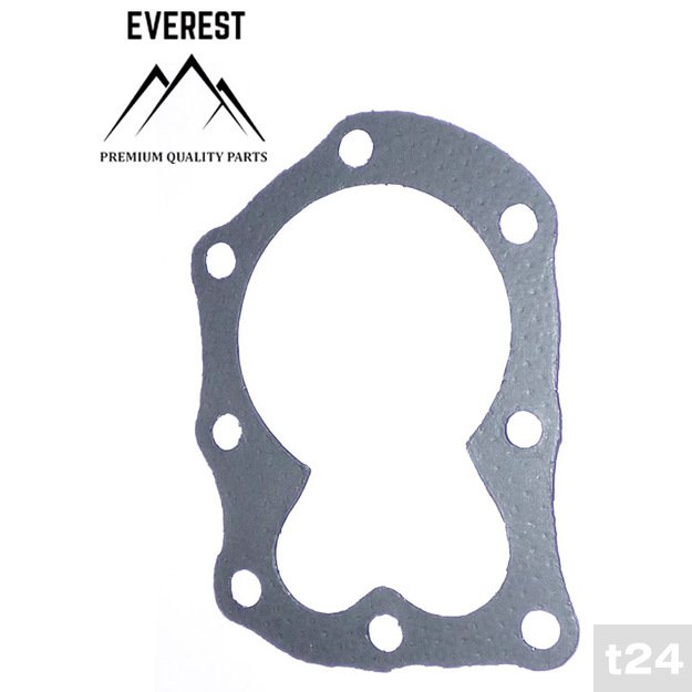 Galvutės tarpinės BRIGGS & STRATTON EVEREST