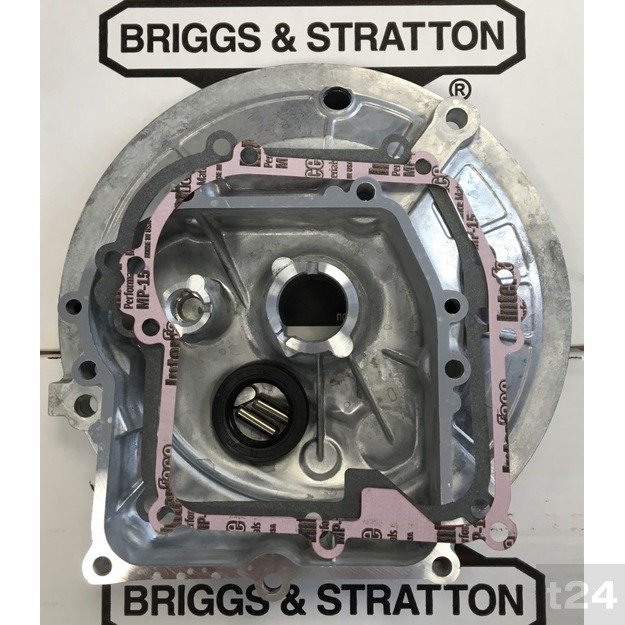 Karteris (tepalo vonelė) Briggs & Stratton OHV
