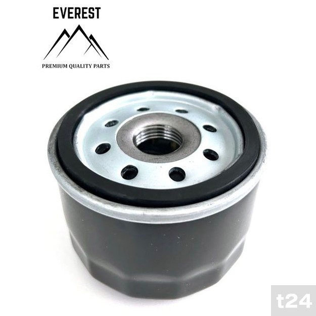 Alyvos filtras Briggs&Stratton traktoriukams Everest