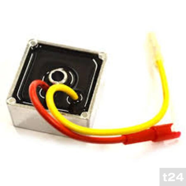 Įtampos reguliatorius Briggs&Stratton 5 – 9 A